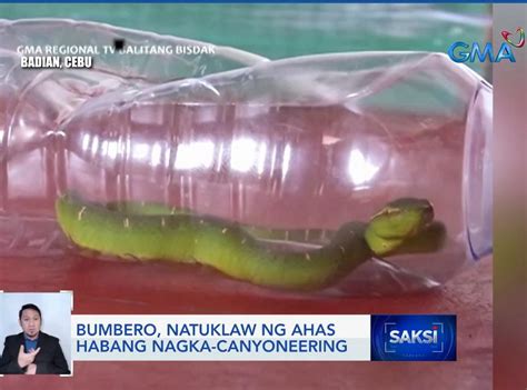 tinuklaw ni maricar ang ahas ng kurimaw|ALAMIN: Mga dapat gawin kapag natuklaw ng ahas .
